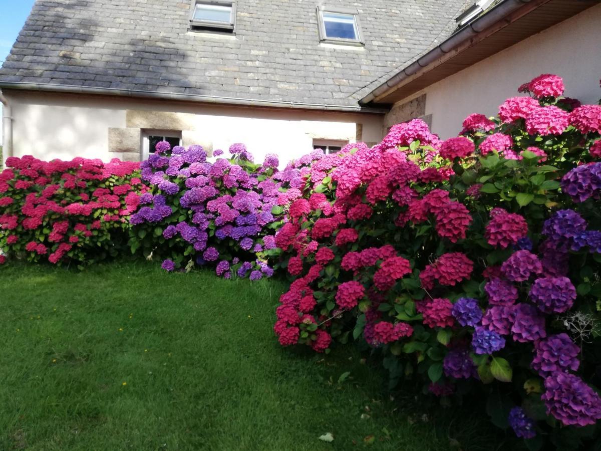 Bed and Breakfast Le Tregonnec, Pres De Morlaix, Roscoff Plouvorn Экстерьер фото