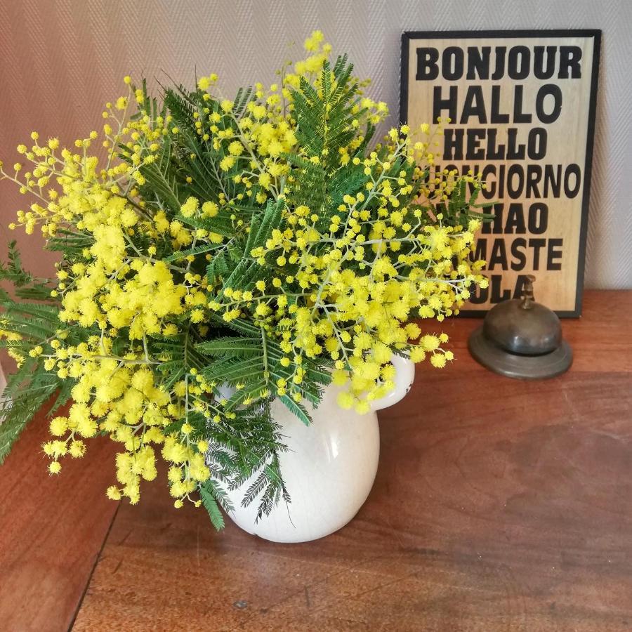 Bed and Breakfast Le Tregonnec, Pres De Morlaix, Roscoff Plouvorn Экстерьер фото